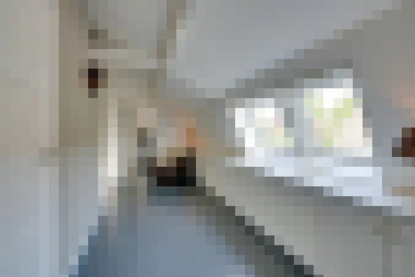 Warder 174 Warder thumbnail 85
