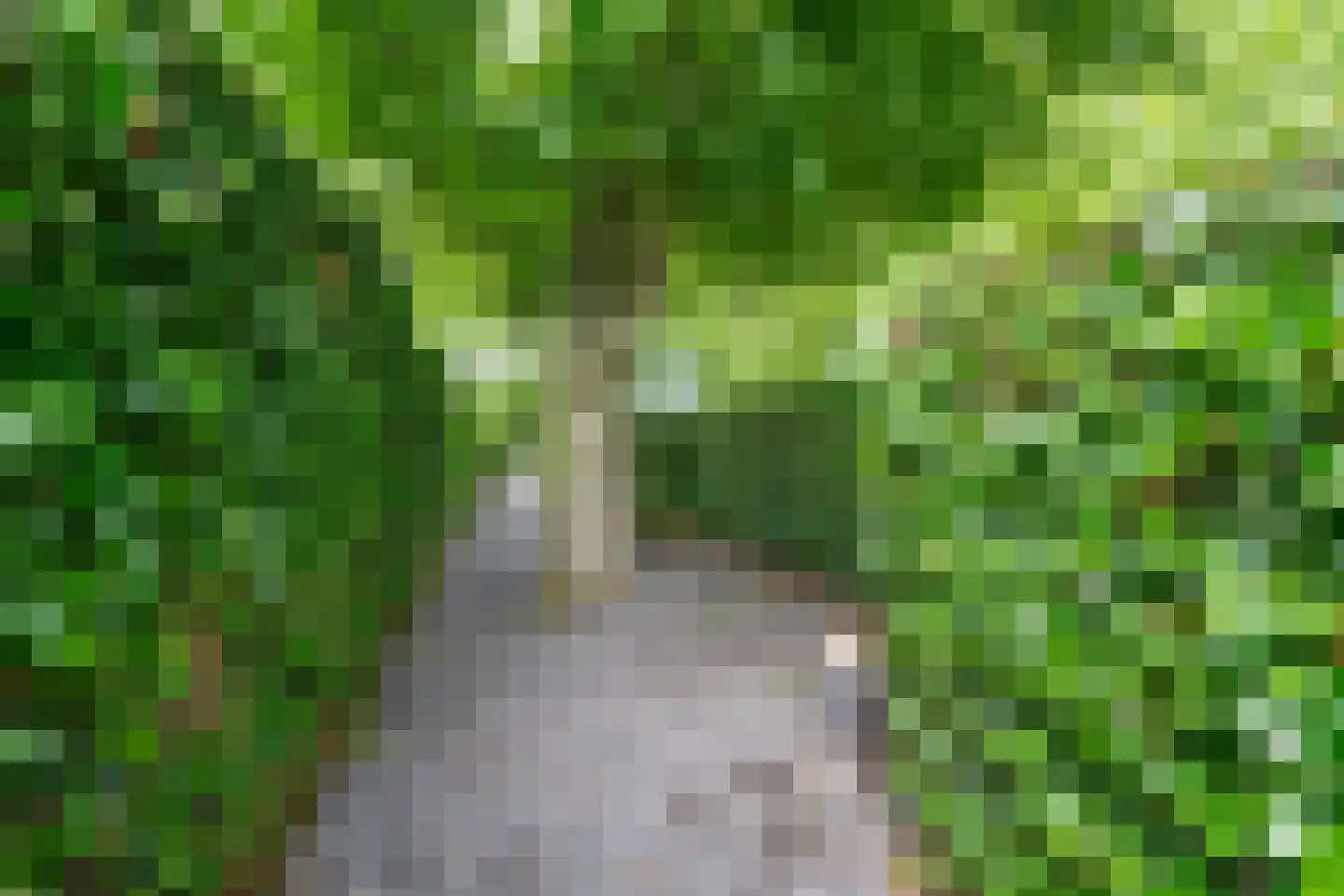 Warder 174 Warder thumbnail 96
