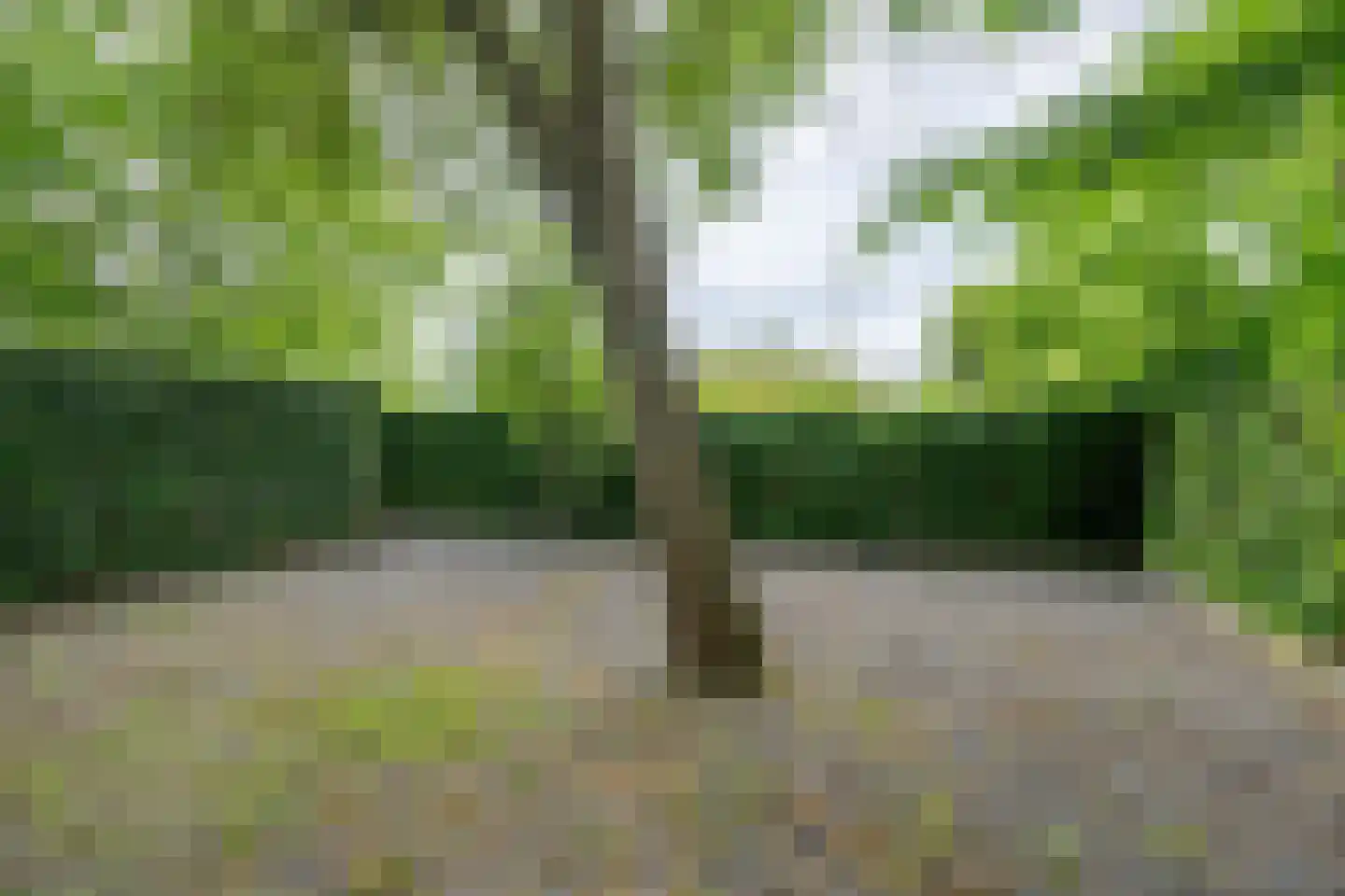 Warder 174 Warder thumbnail 98