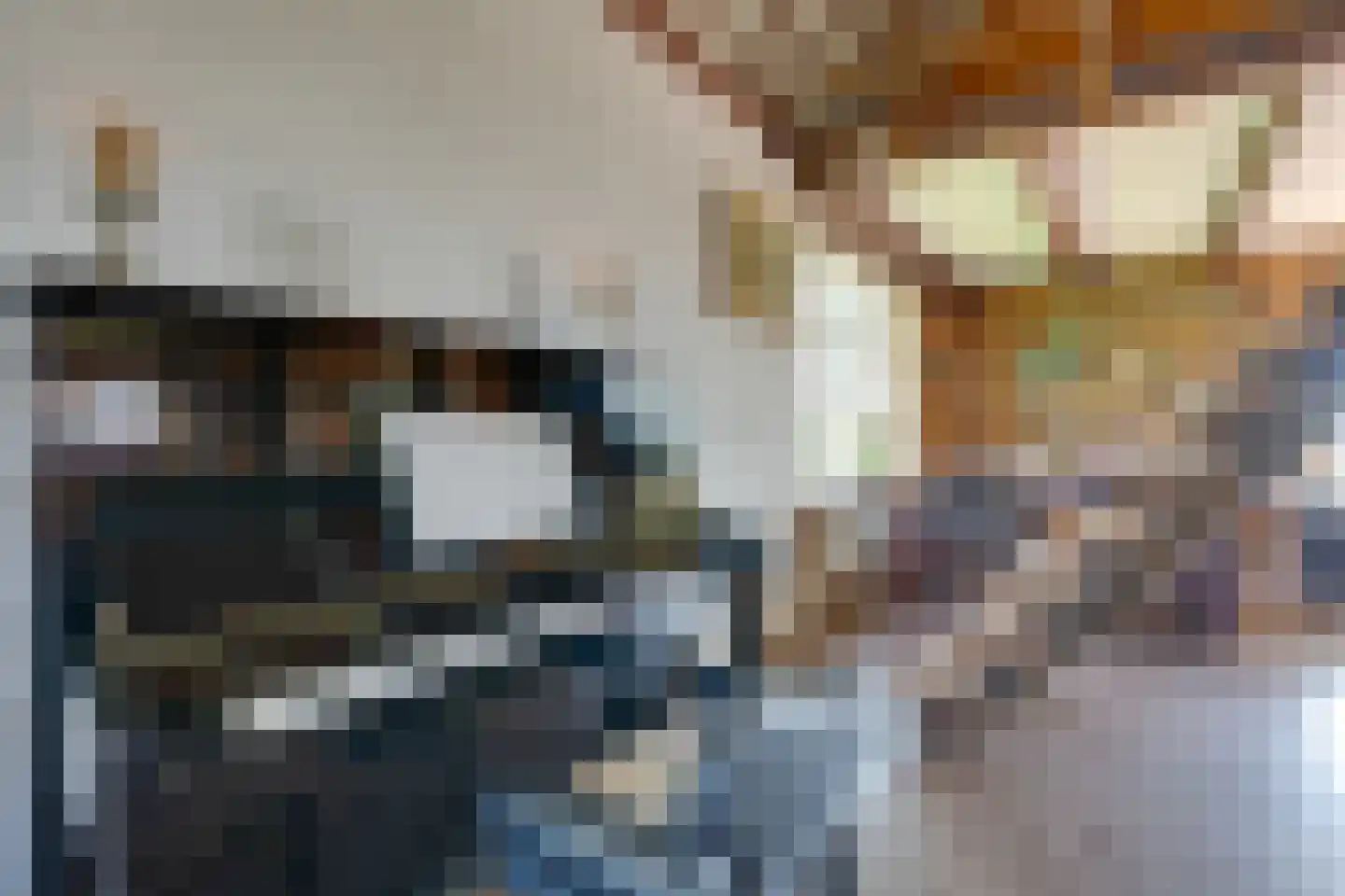 Warder 177 Warder thumbnail 12