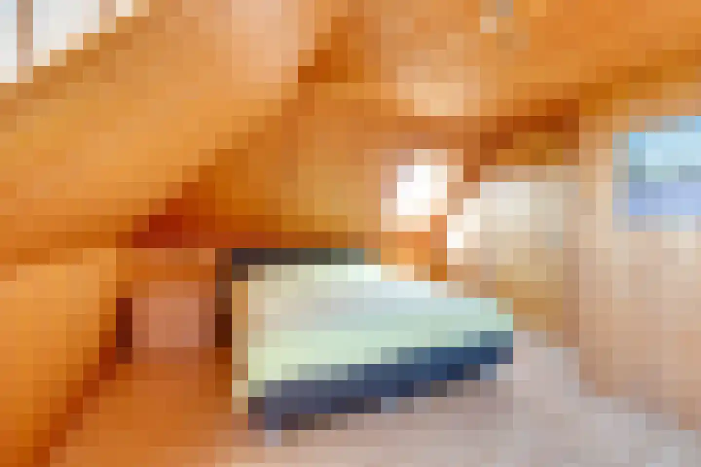 Warder 177 Warder thumbnail 29