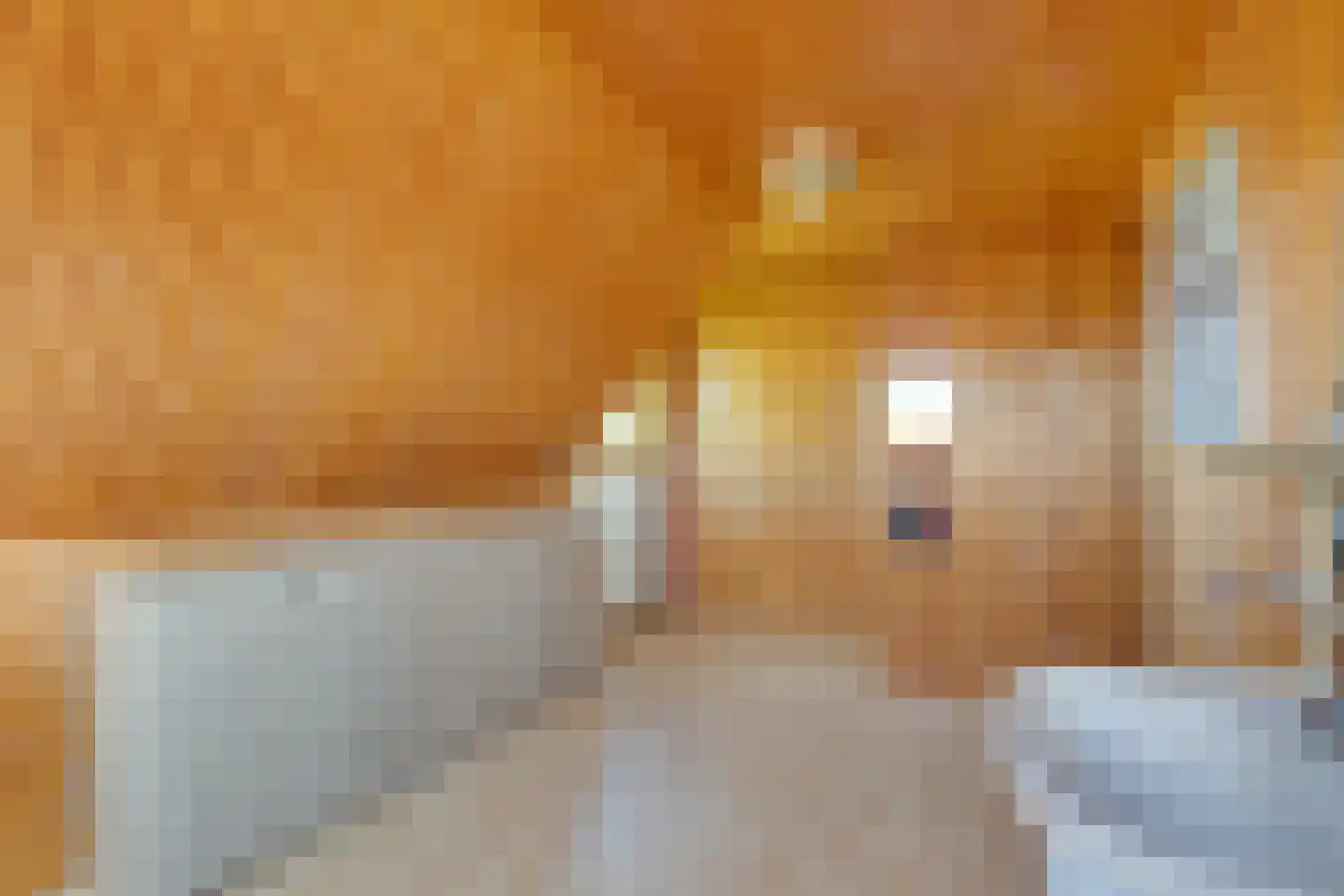 Warder 177 Warder thumbnail 31