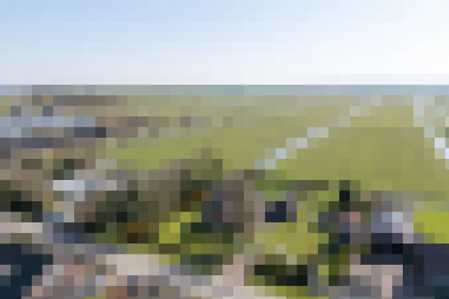 Warder 177 Warder thumbnail 46