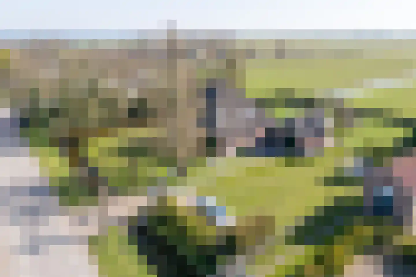 Warder 177 Warder thumbnail 47