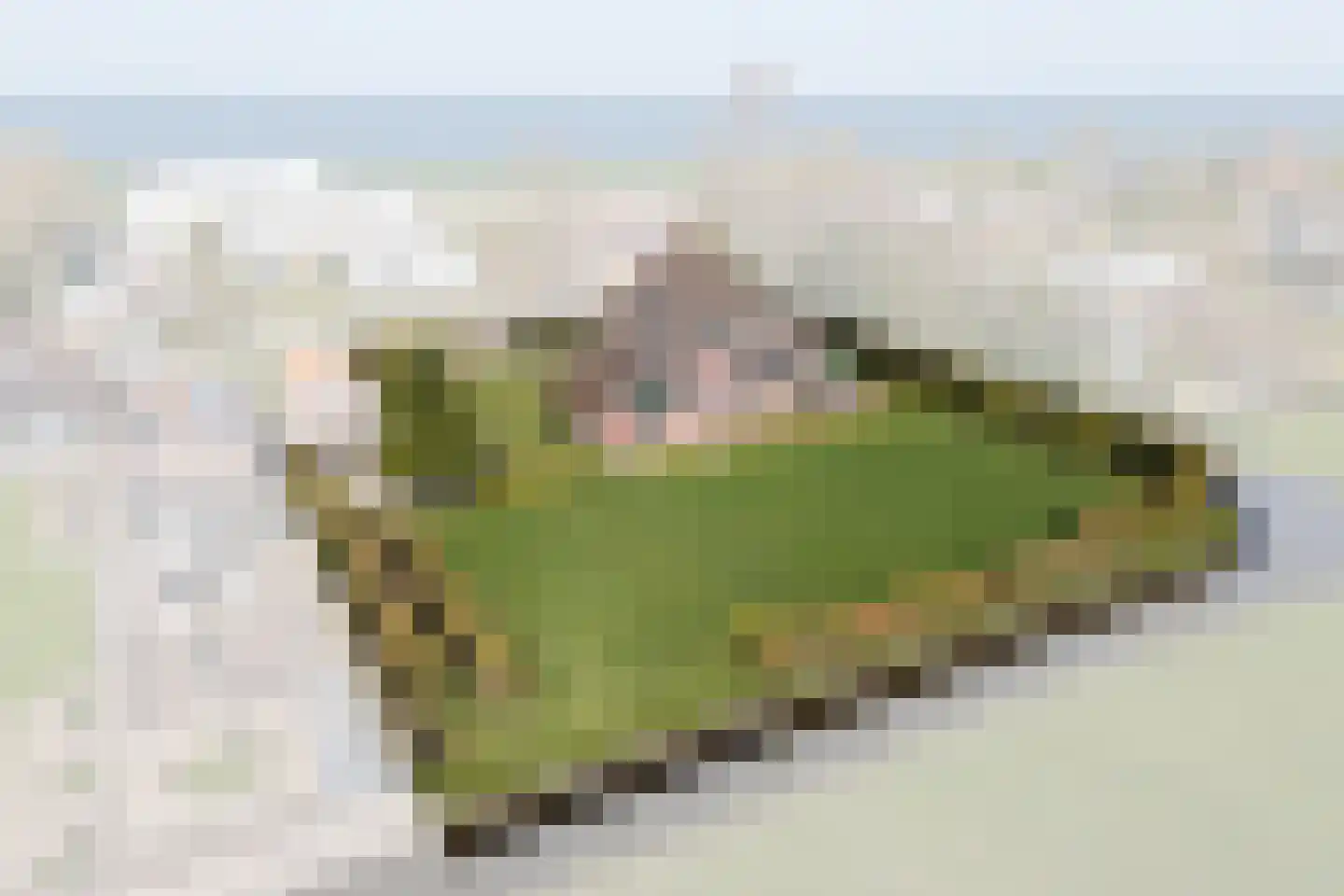 Warder 177 Warder thumbnail 64