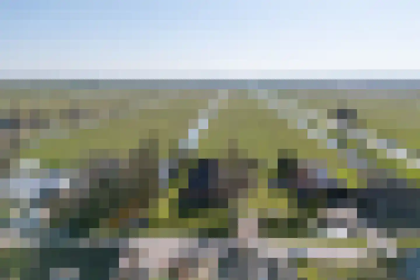 Warder 177 Warder thumbnail 65