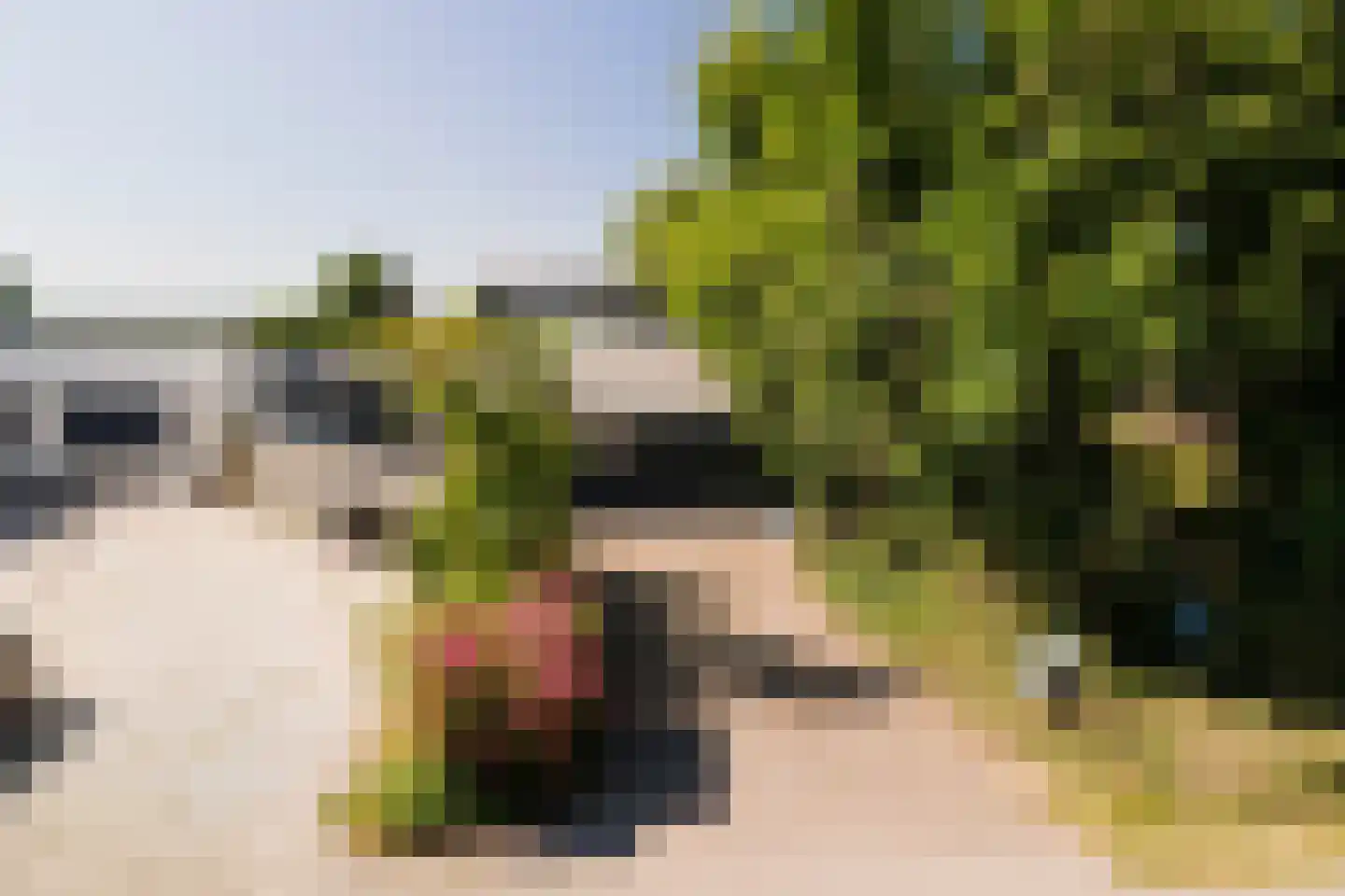 Warder 181 a Warder thumbnail 10