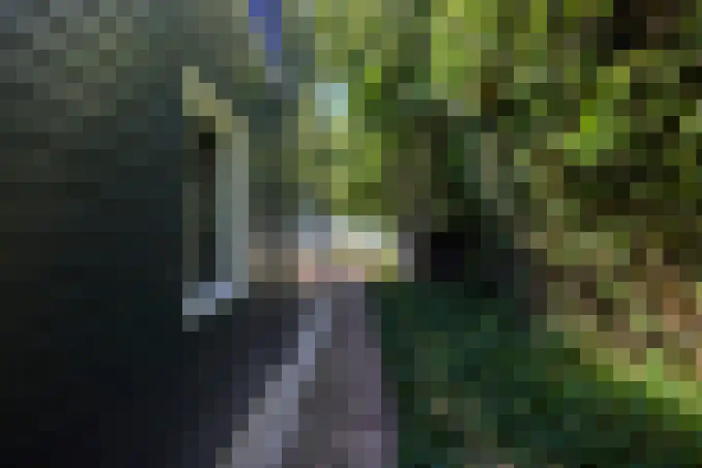 Warder 181 a Warder thumbnail 13