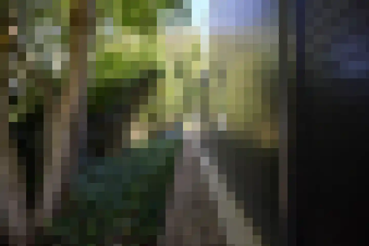 Warder 181 a Warder thumbnail 14