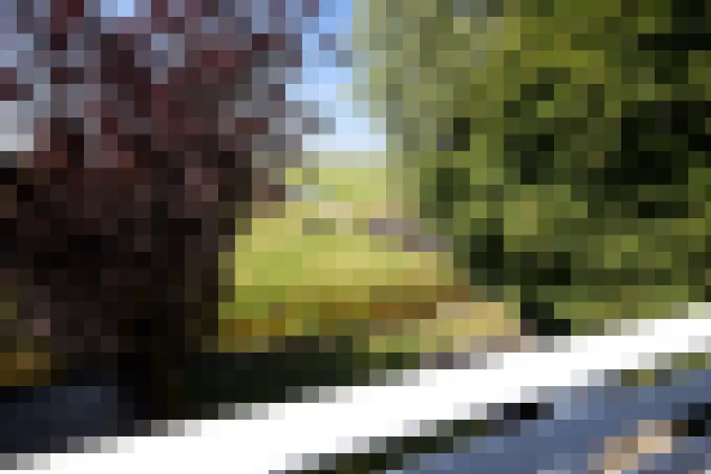 Warder 181 a Warder thumbnail 40