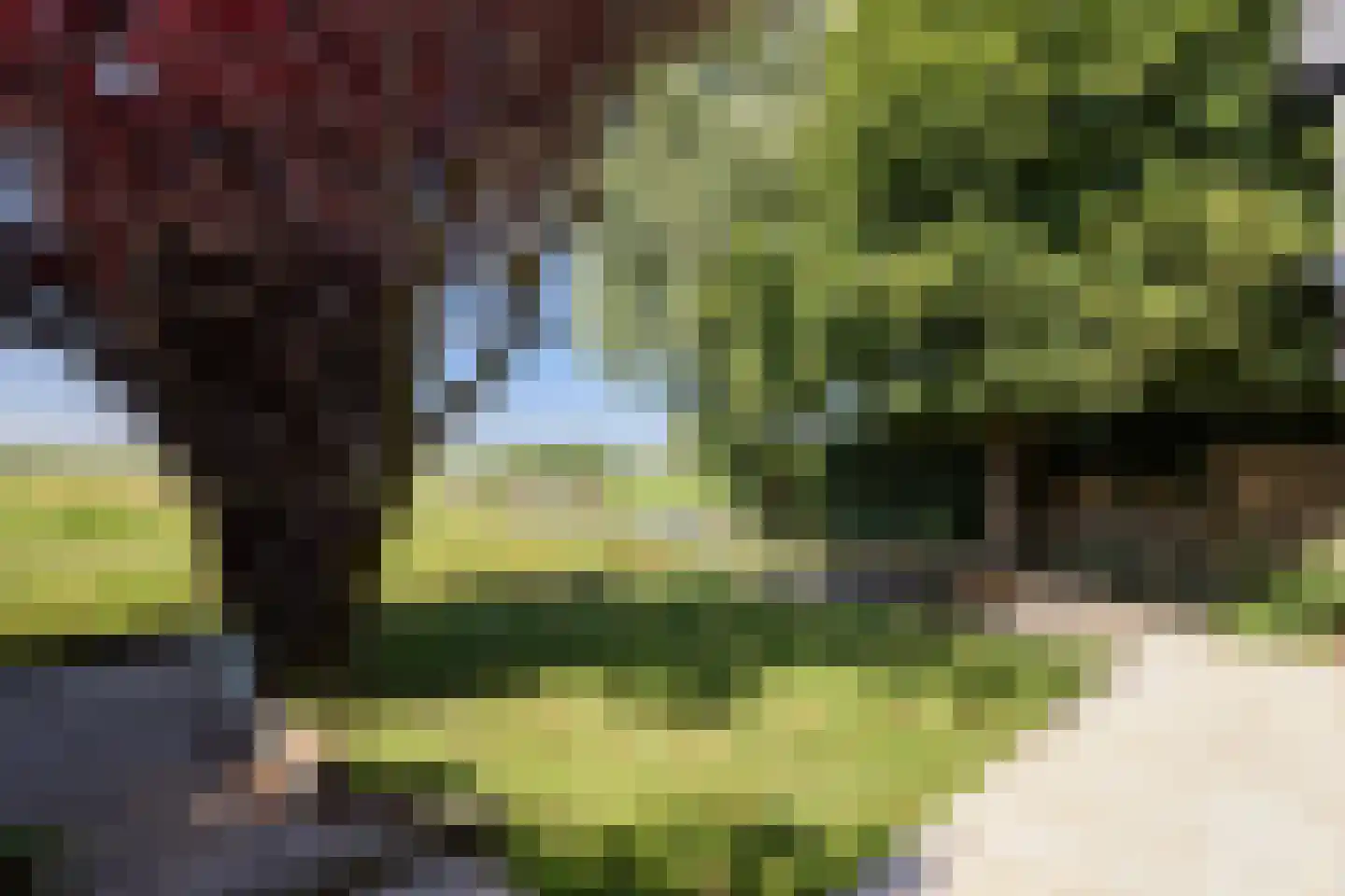 Warder 181 a Warder thumbnail 52