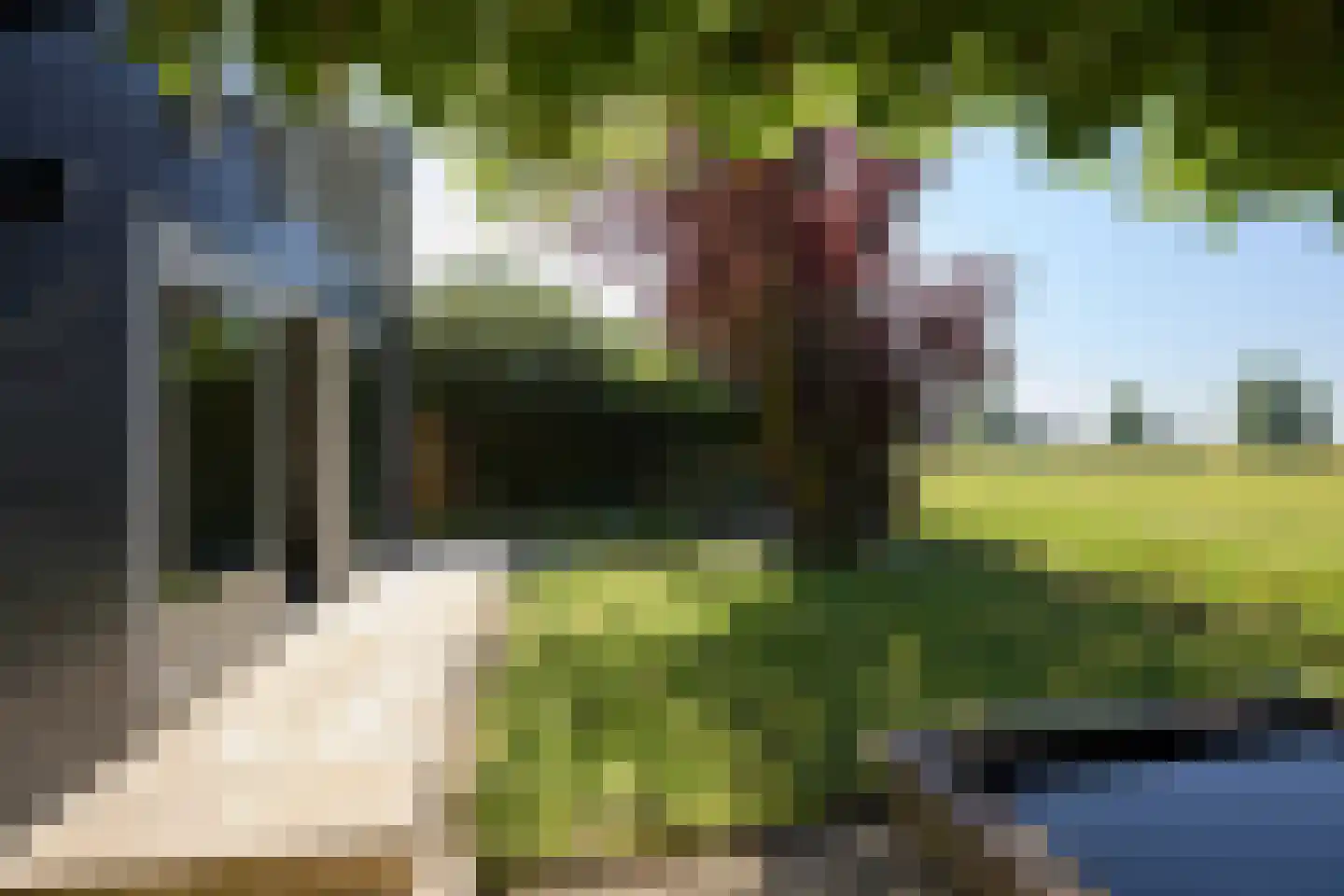 Warder 181 a Warder thumbnail 56