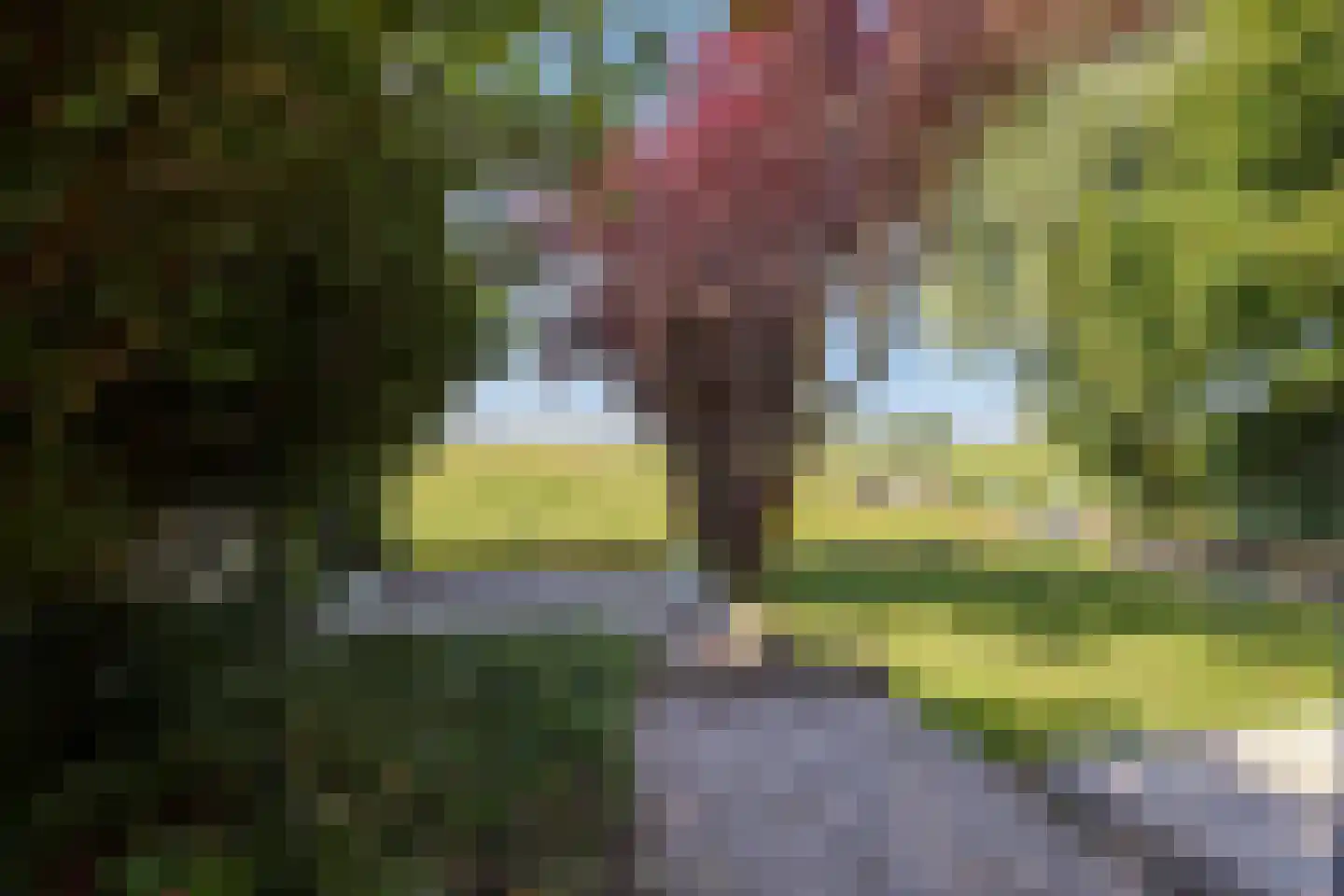 Warder 181 a Warder thumbnail 58