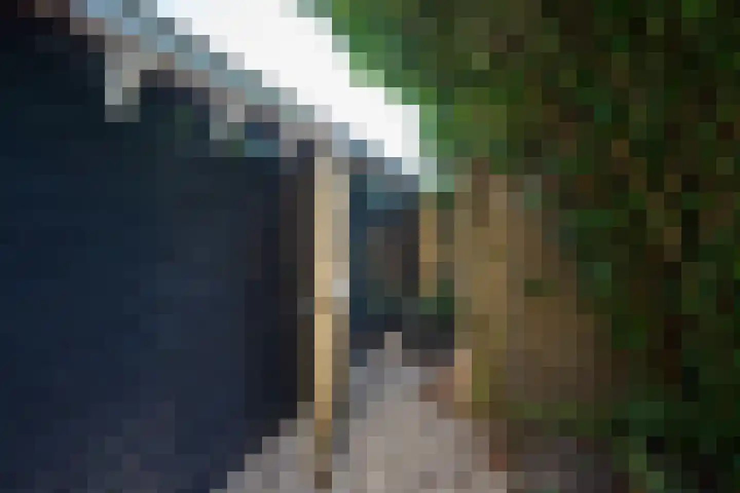 Warder 181 a Warder thumbnail 59