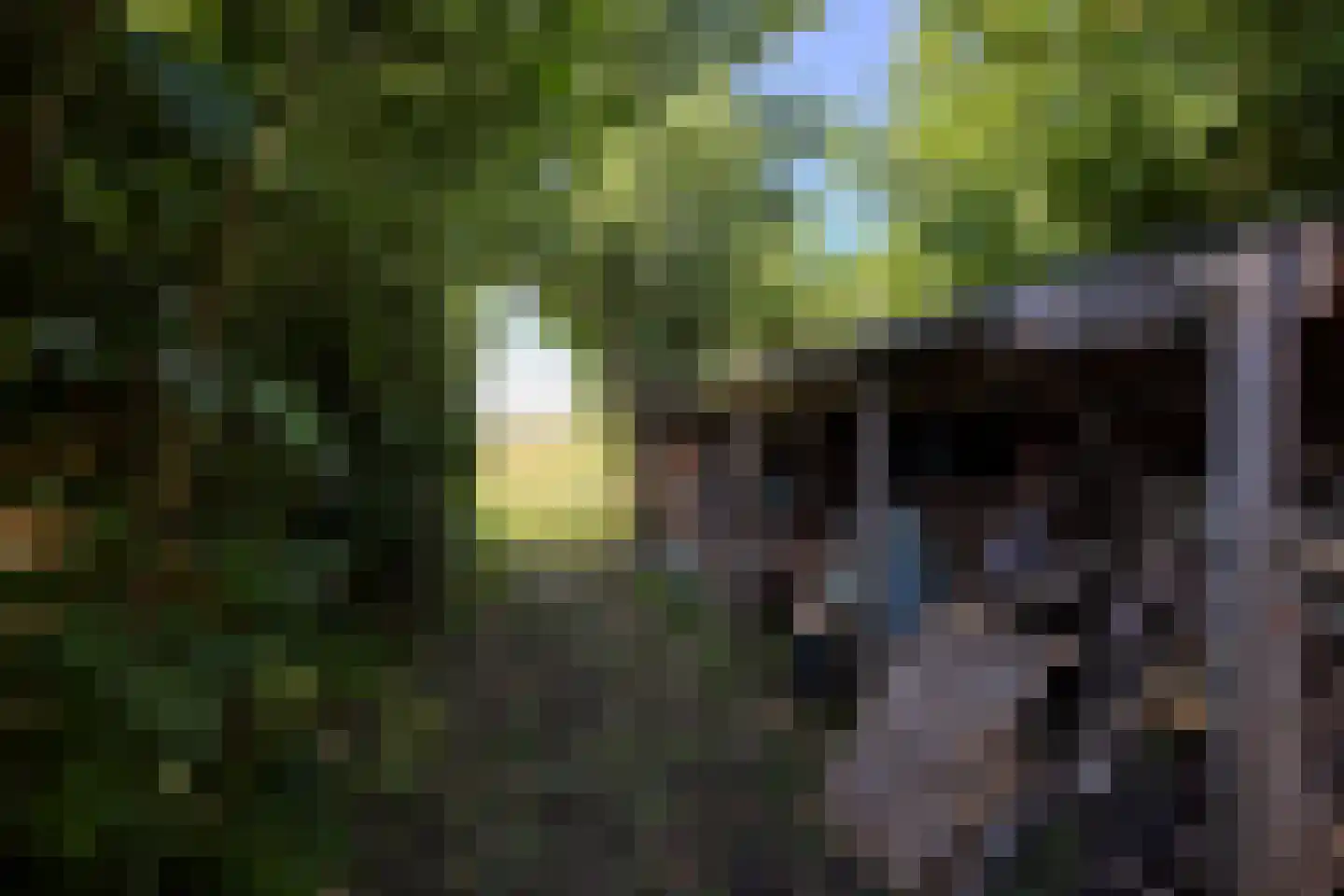 Warder 181 a Warder thumbnail 60