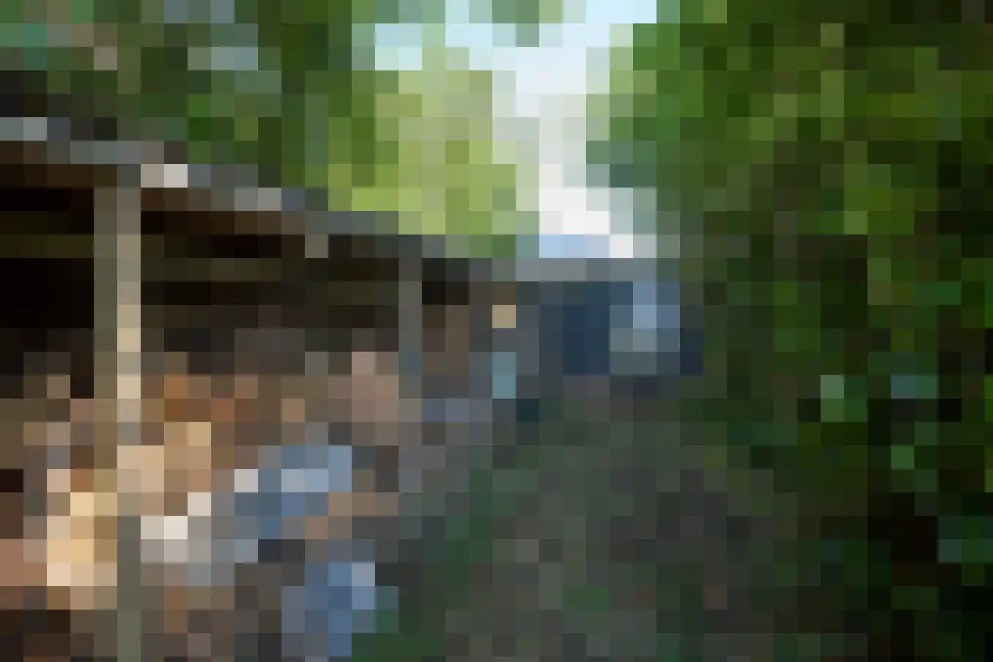 Warder 181 a Warder thumbnail 61