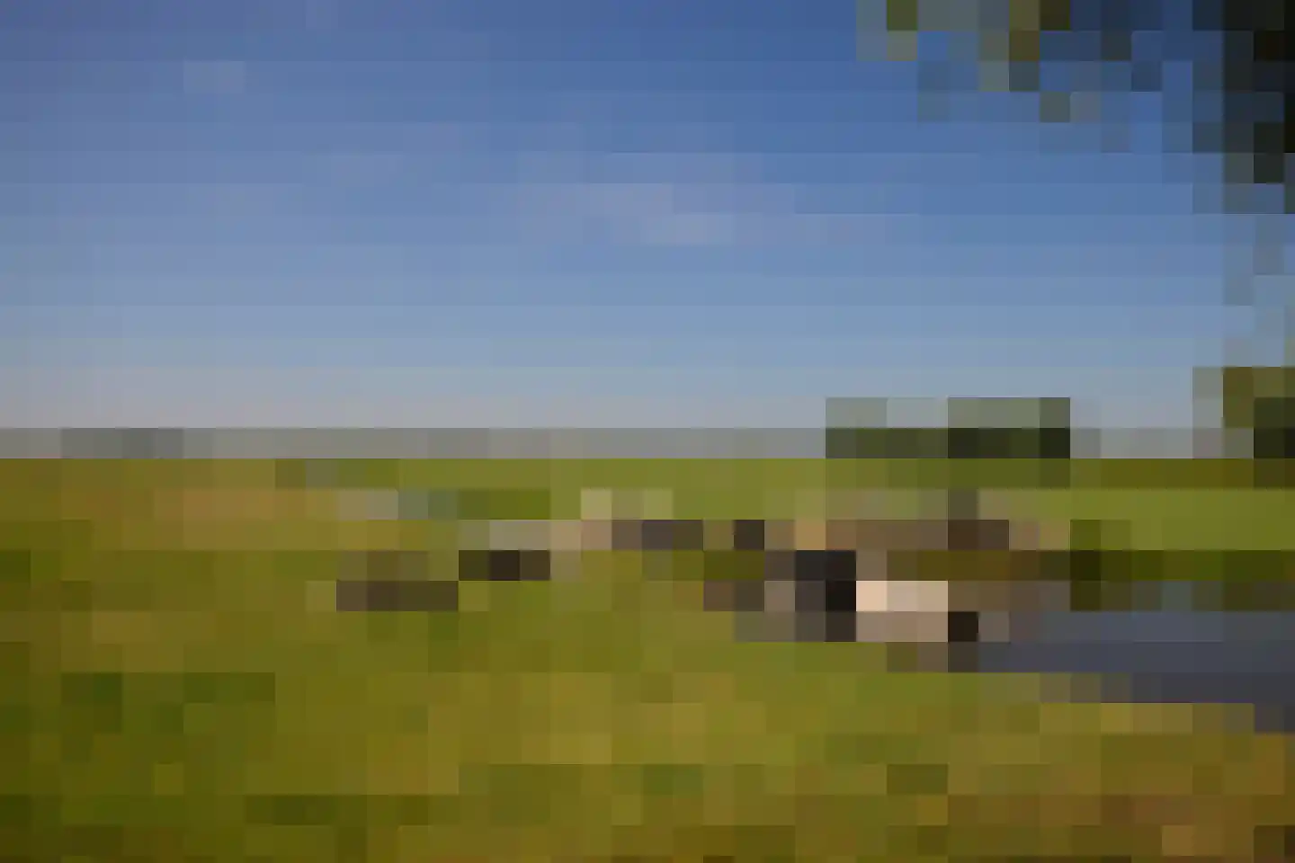 Warder 181 a Warder thumbnail 64