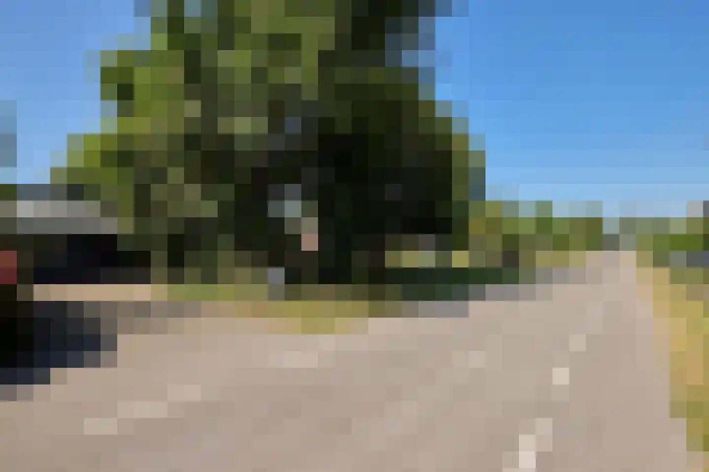 Warder 181 a Warder thumbnail 7