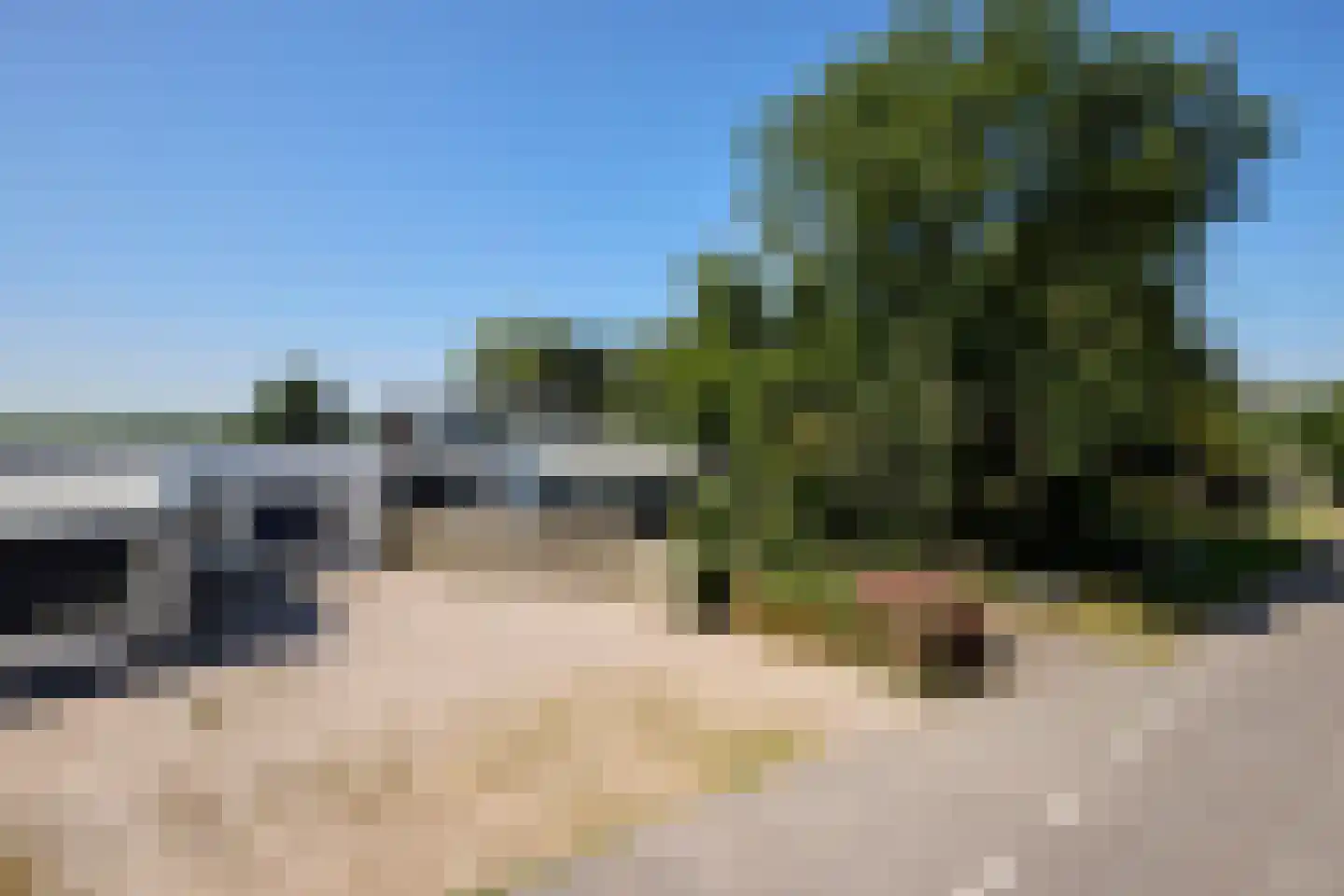 Warder 181 a Warder thumbnail 8
