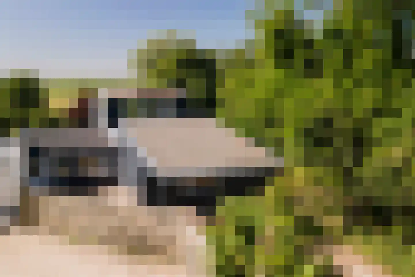 Warder 181 a Warder thumbnail 9