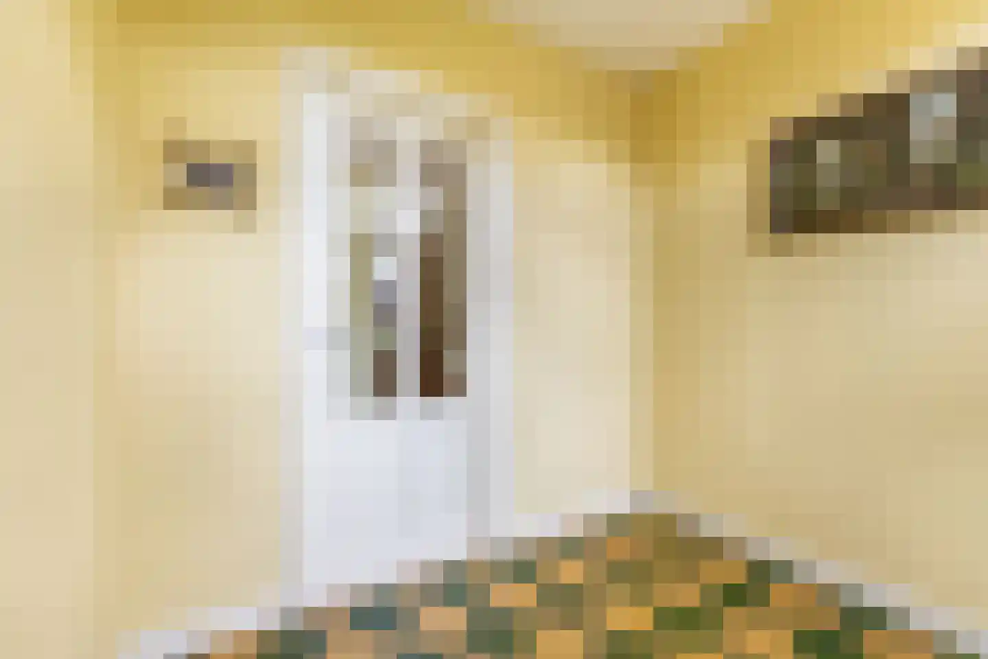 Warder 36 Warder thumbnail 13