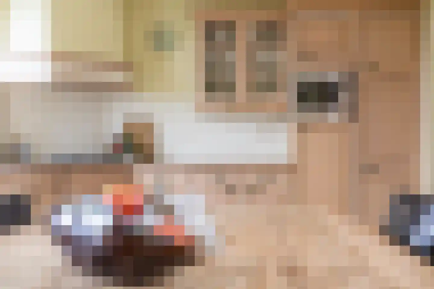 Warder 36 Warder thumbnail 31