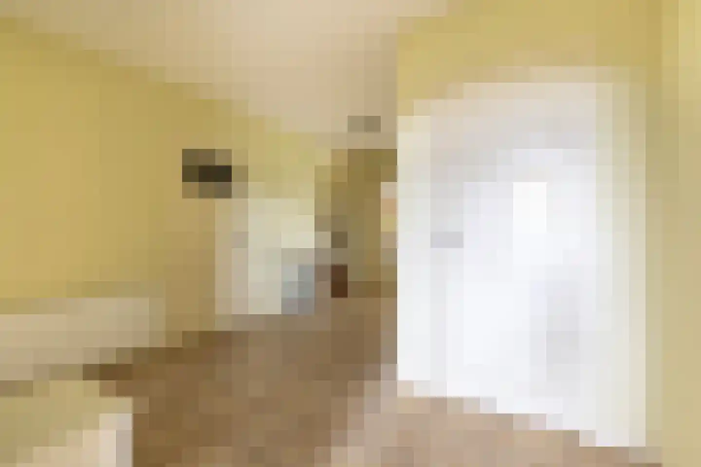 Warder 36 Warder thumbnail 36