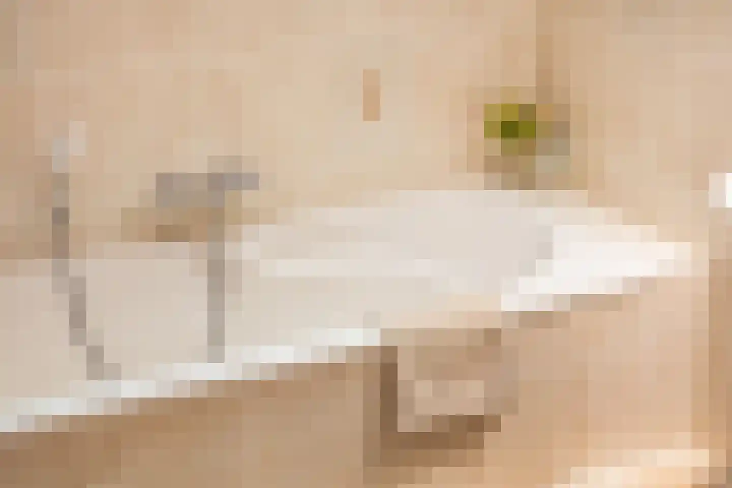 Warder 36 Warder thumbnail 39