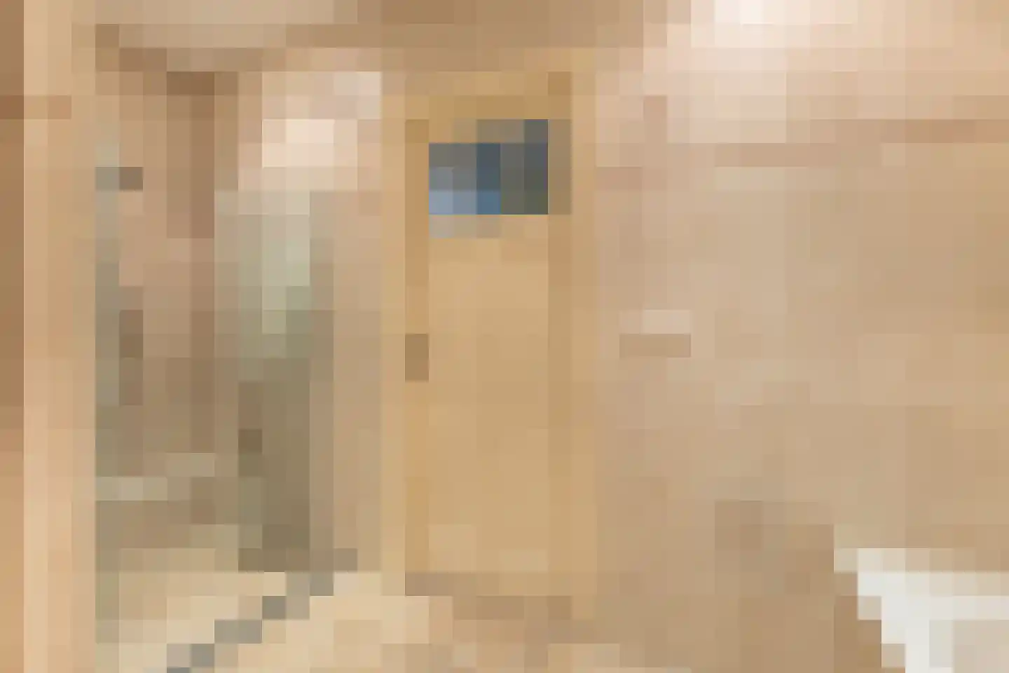Warder 36 Warder thumbnail 40
