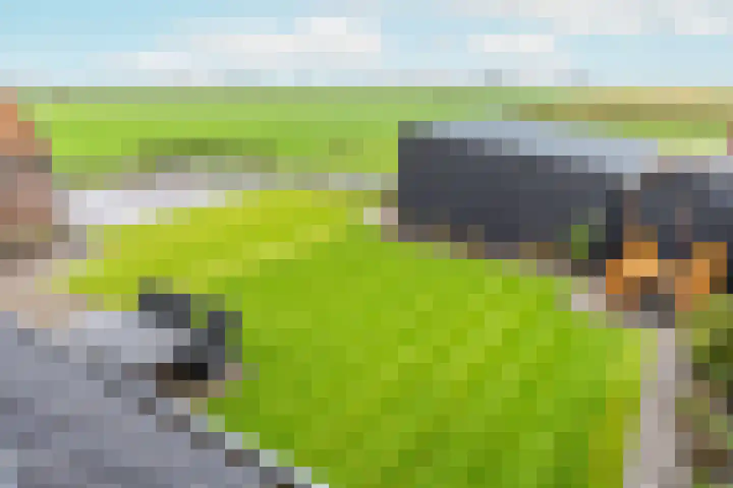 Warder 36 Warder thumbnail 49