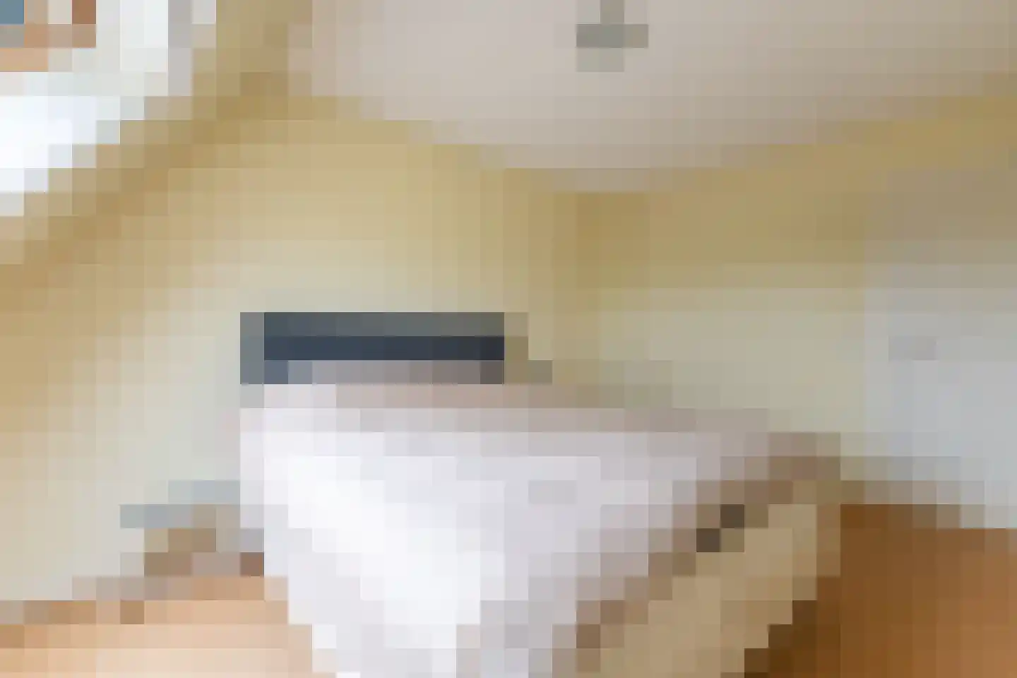Warder 36 Warder thumbnail 50
