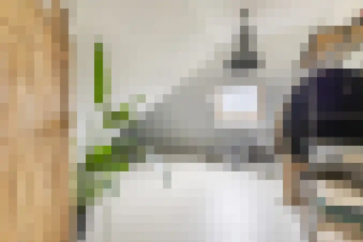 Warder 36 Warder thumbnail 51