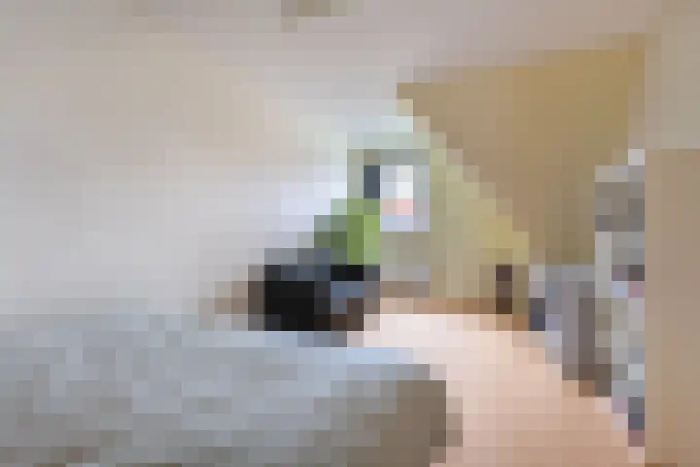 Warder 36 Warder thumbnail 54