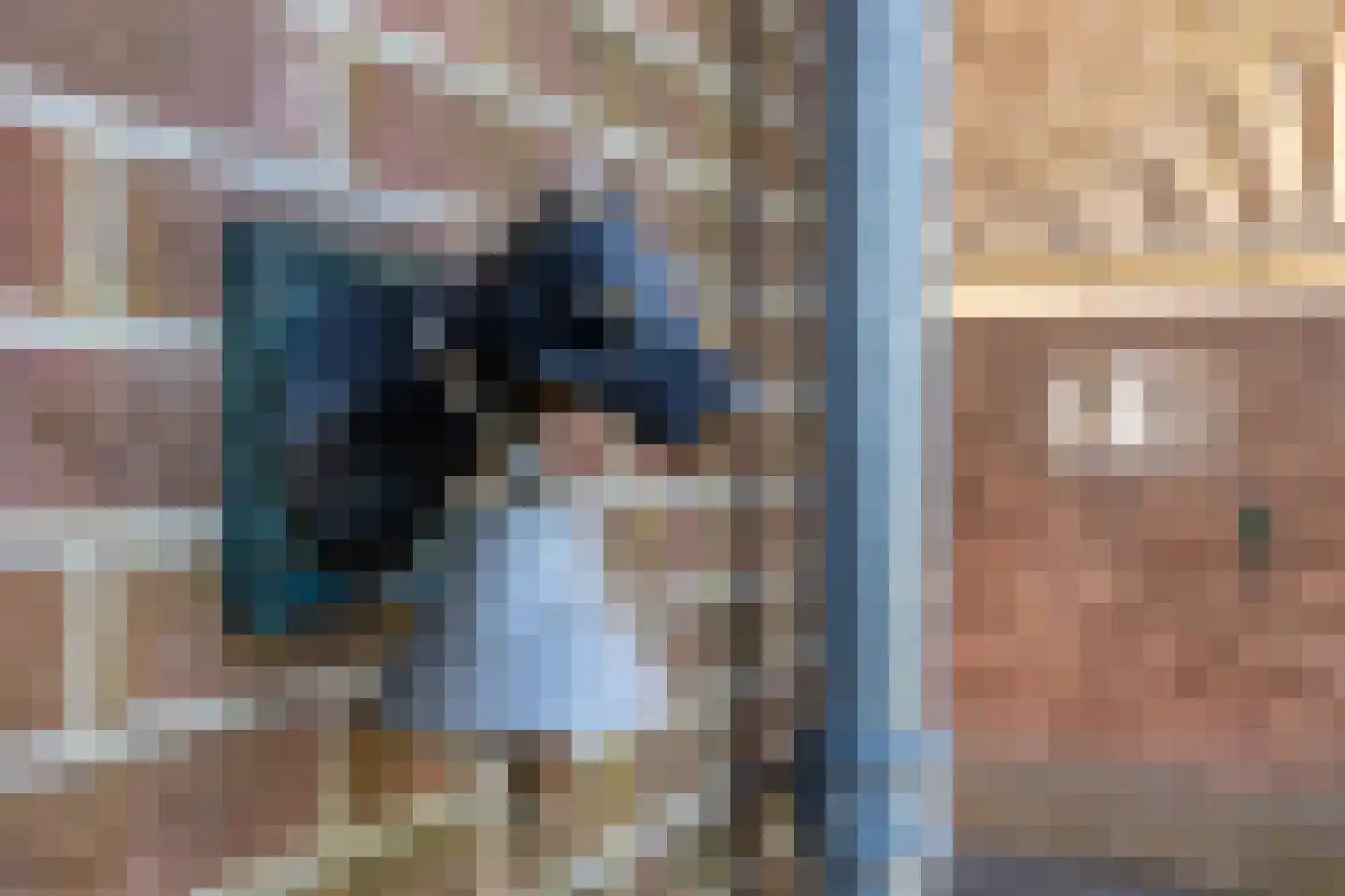 Warder 36 Warder thumbnail 56