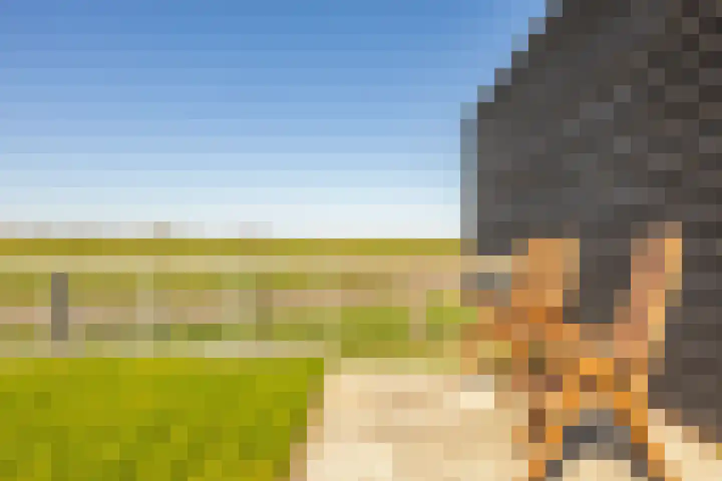 Warder 36 Warder thumbnail 61