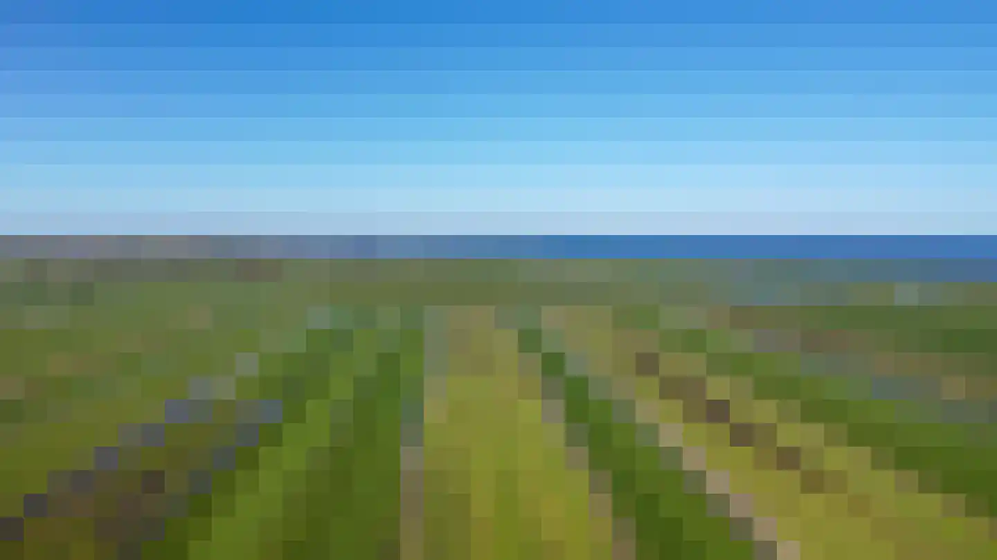 Warder 36 Warder thumbnail 73