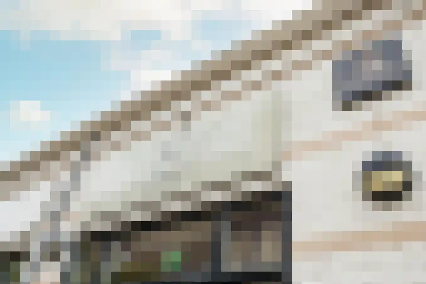 Warder 36 Warder thumbnail 75