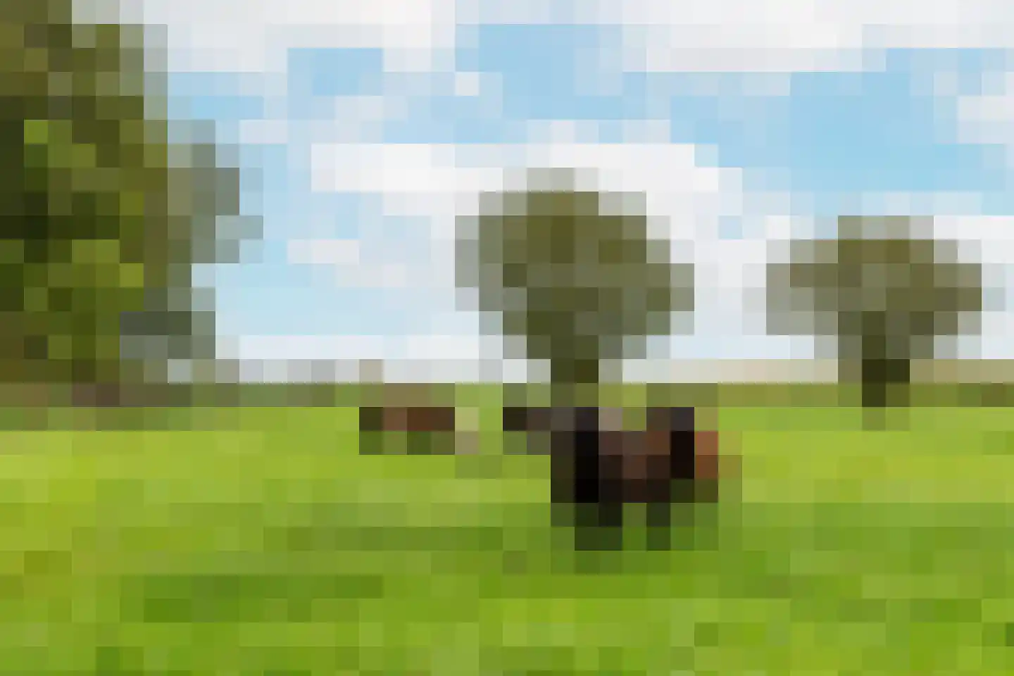Warder 36 Warder thumbnail 76