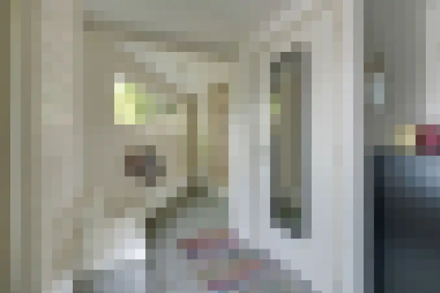 Warder 56 Warder thumbnail 32