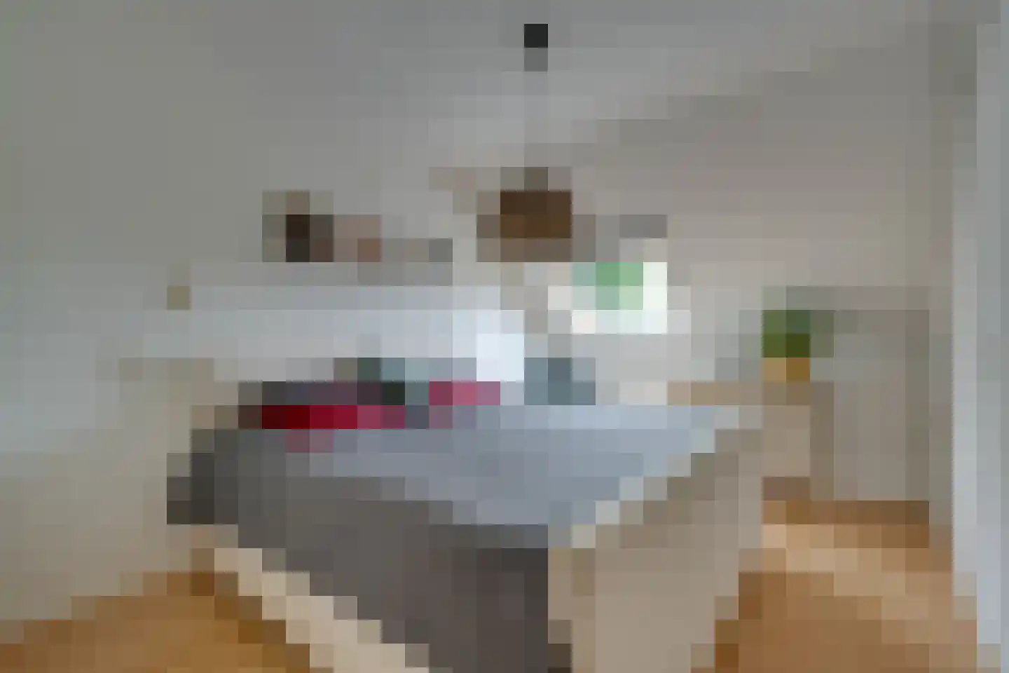 Warder 56 Warder thumbnail 37