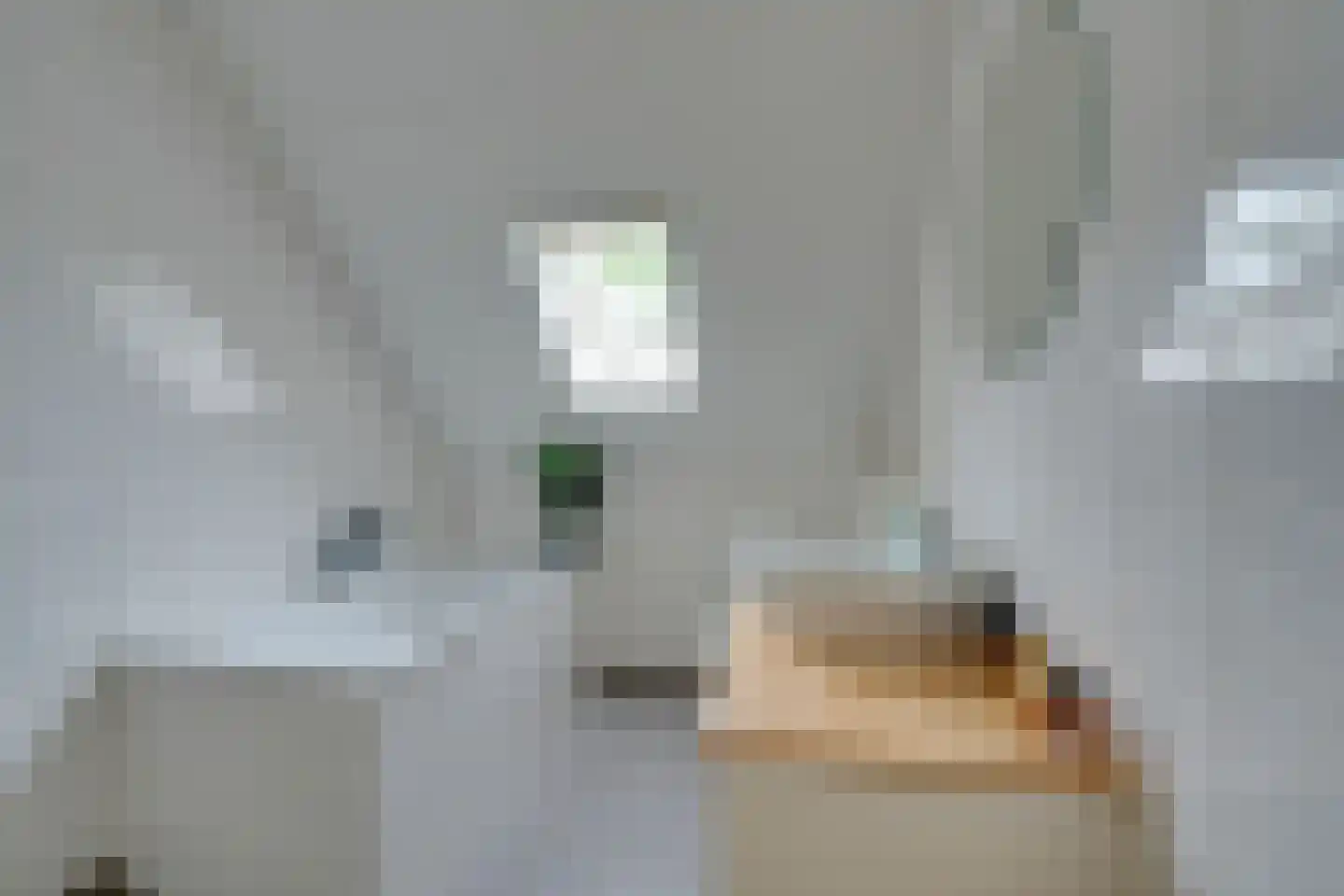 Warder 56 Warder thumbnail 45