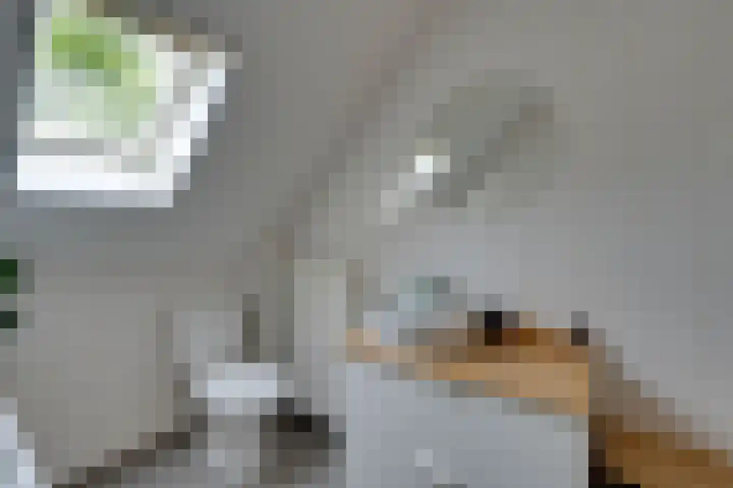 Warder 56 Warder thumbnail 46