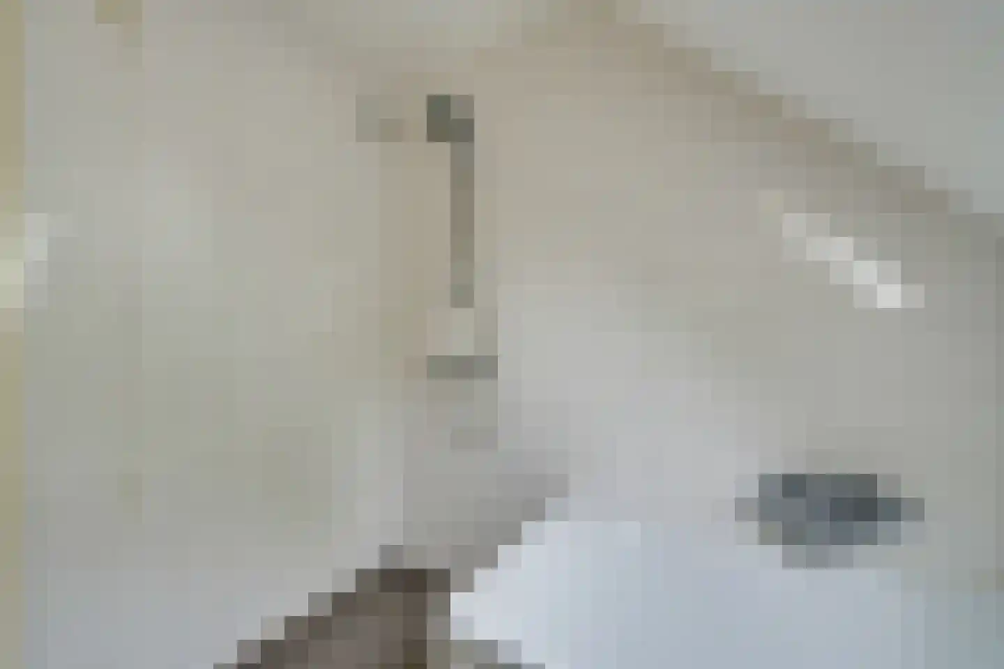 Warder 56 Warder thumbnail 47