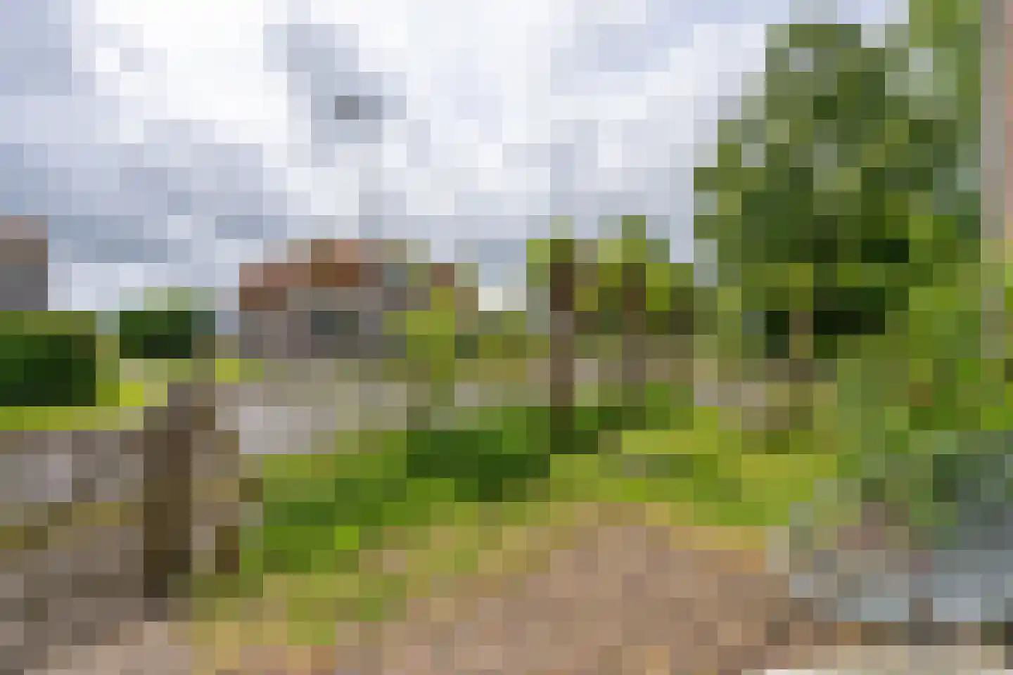 Warder 56 Warder thumbnail 5
