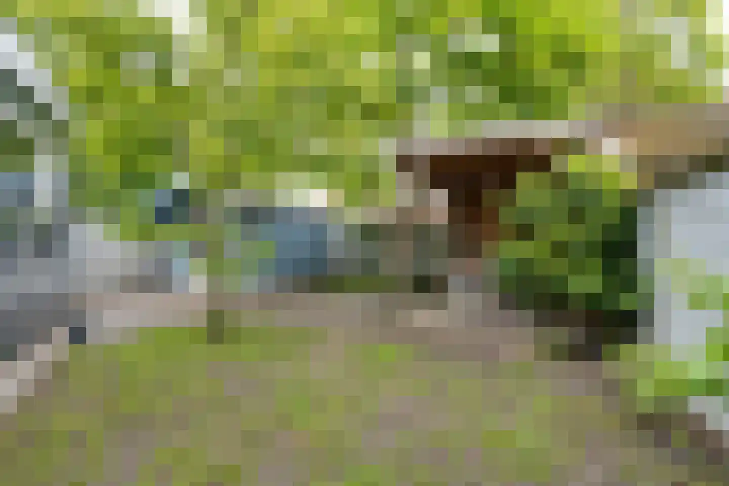 Warder 56 Warder thumbnail 53