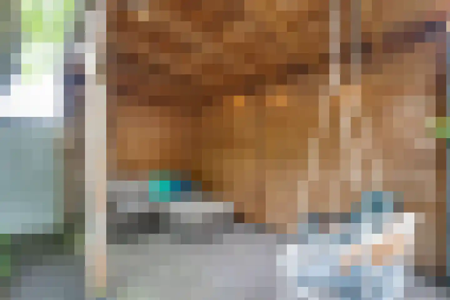Warder 56 Warder thumbnail 55