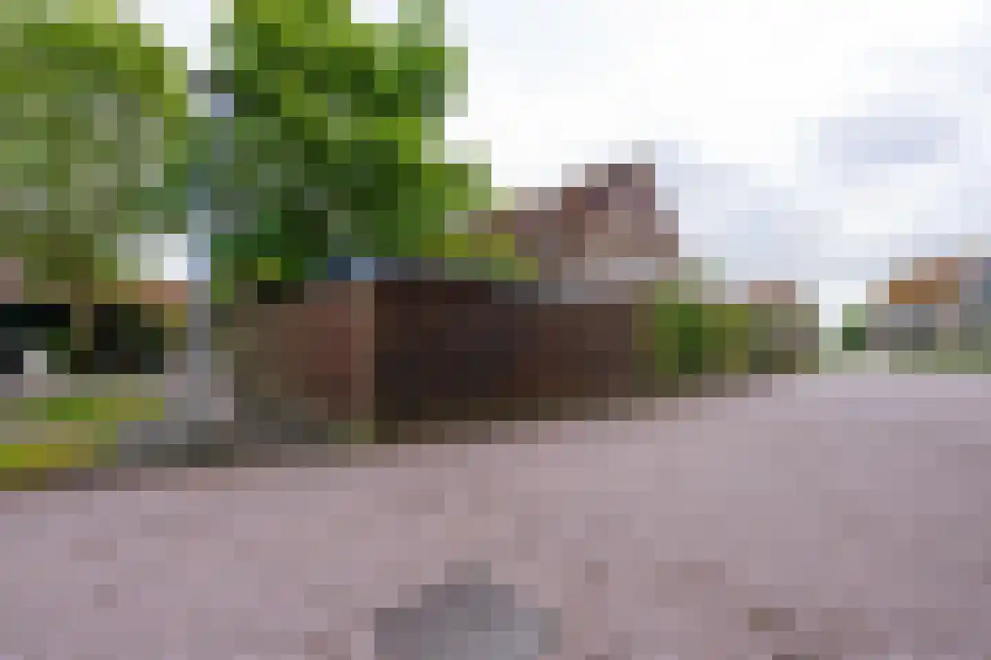 Warder 56 Warder thumbnail 59