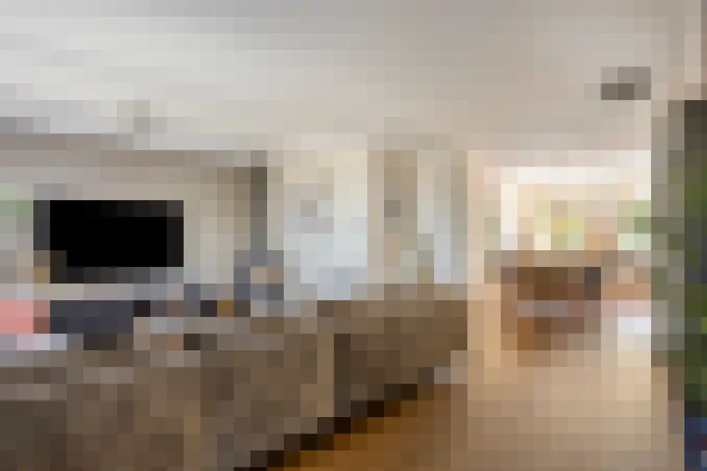 Warder 76 Warder thumbnail 14