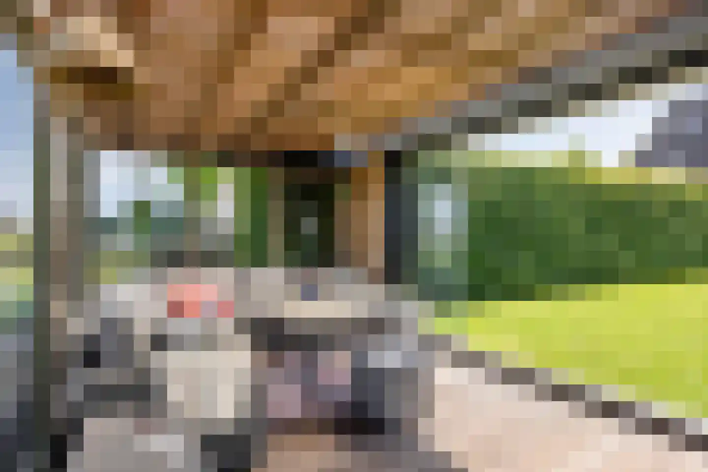 Warder 76 Warder thumbnail 31