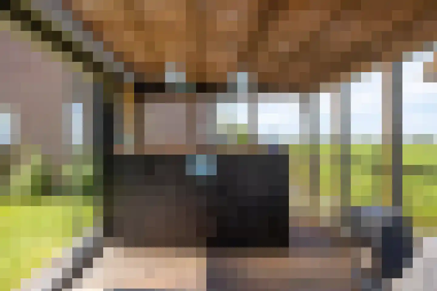 Warder 76 Warder thumbnail 33
